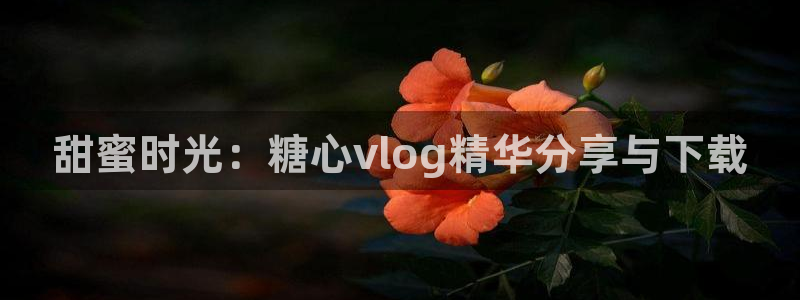 糖心vlog 苹果版:甜蜜时光:糖心vl
