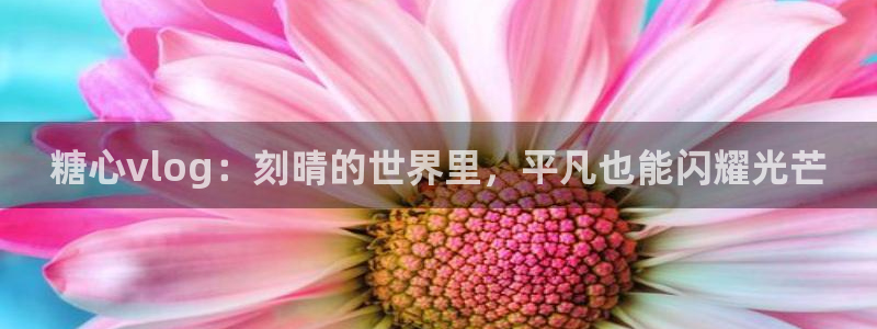 不见星空糖心vlog:糖心vlog:刻晴