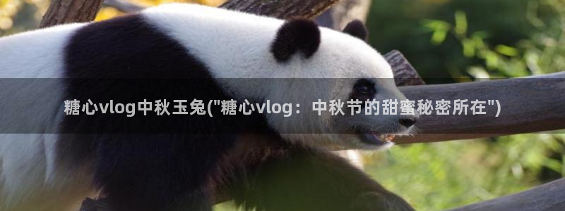 糖心vlog女主播推荐:糖心vlog中秋