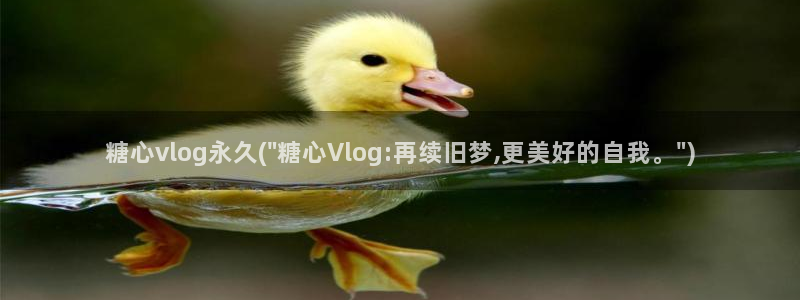 糖心vlog小二:糖心vlog永久(\
