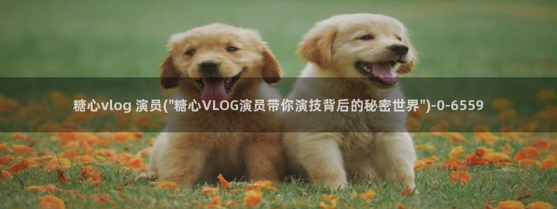 糖心vlog 百度云:糖心vlog 演员