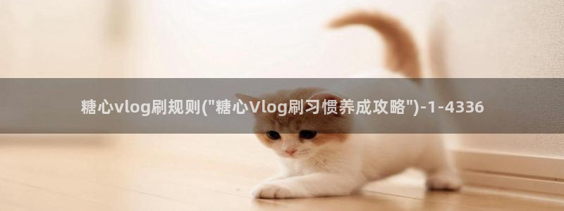 糖心vlog董小姐:糖心vlog刷规则(