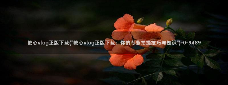 糖心网站vlog:糖心vlog正版下载(