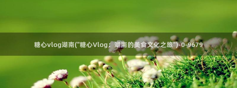 t糖心vlog:糖心vlog湖南(\